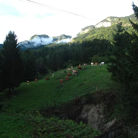 Bela Prázdninový dům Bohinjska Bela