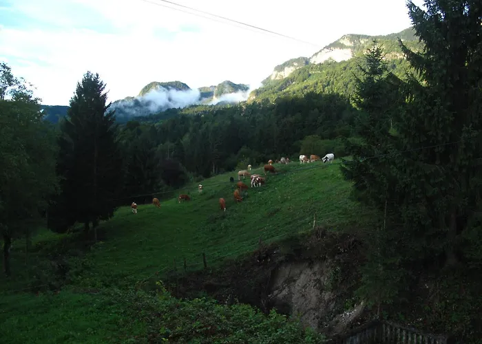 Bela Prázdninový dům Bohinjska Bela